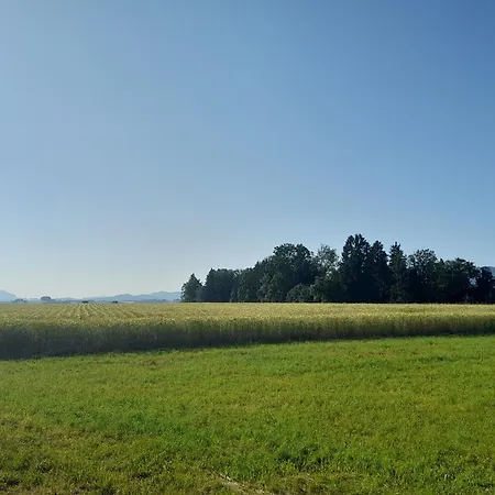 Almtalblick