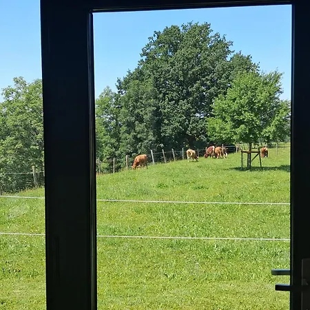 Almtalblick Chalet *